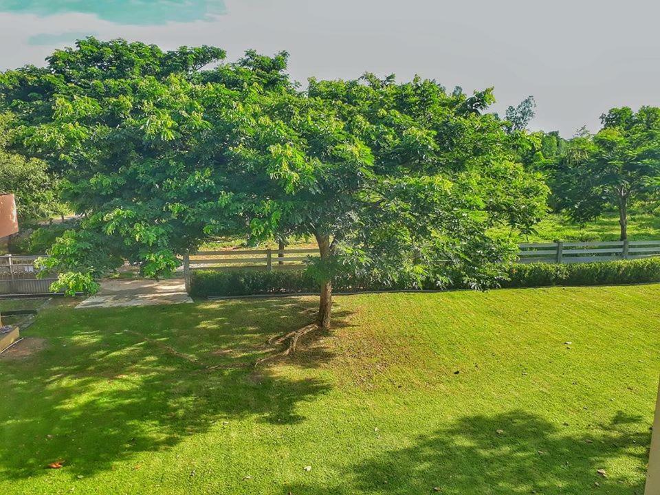 Villa Kampu Nature Pool *